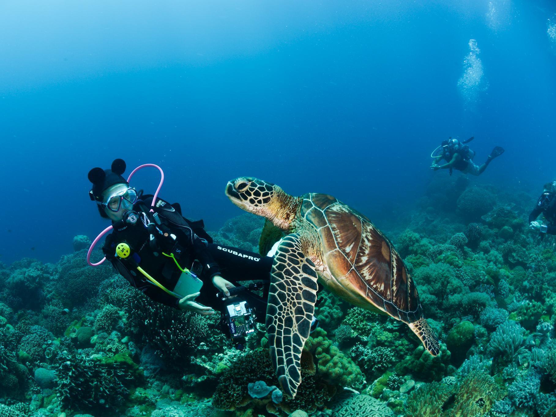 Acqua Dive Bed & Breakfast Zamboanguita  Bagian luar foto