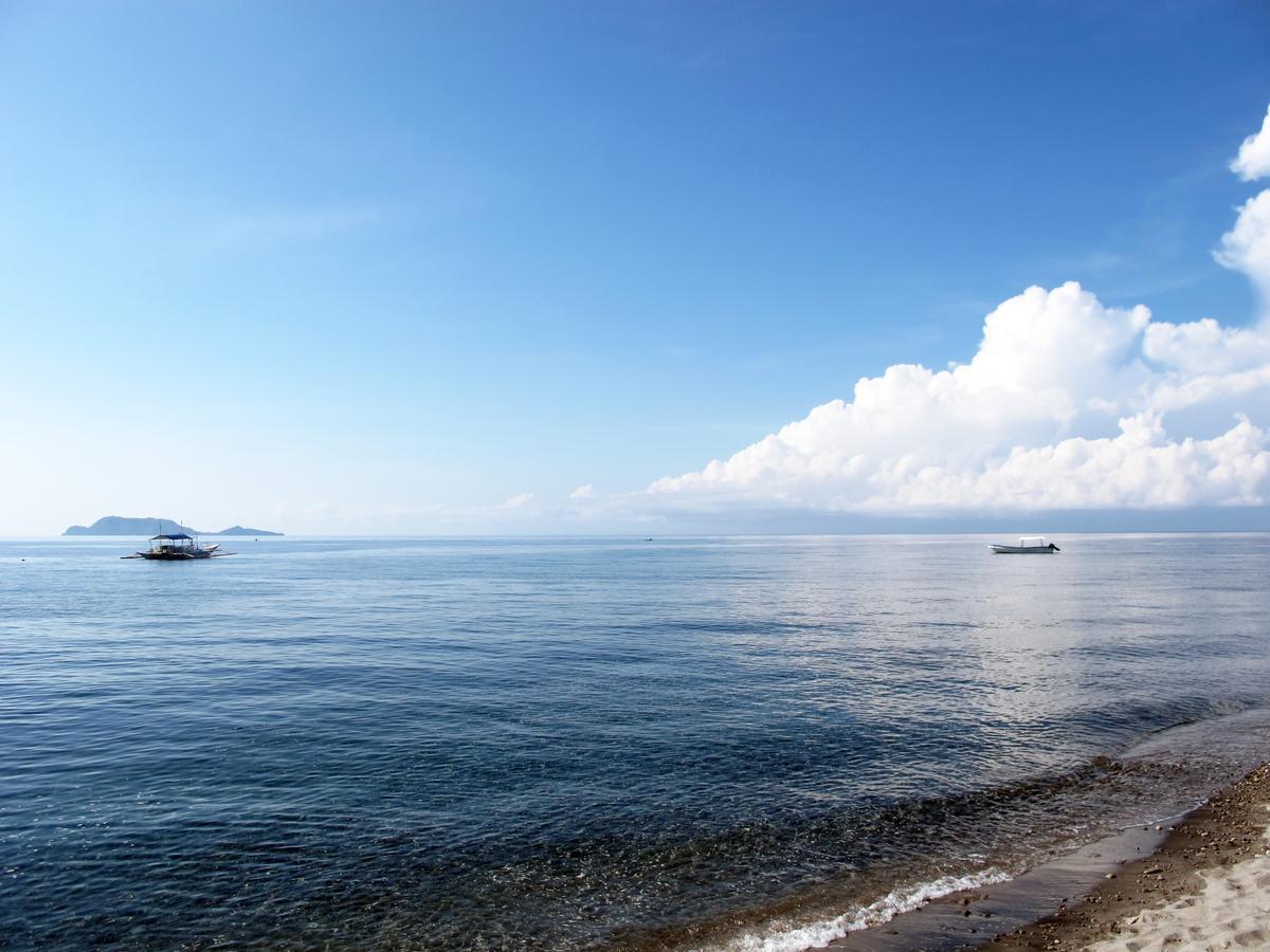 Acqua Dive Bed & Breakfast Zamboanguita  Bagian luar foto