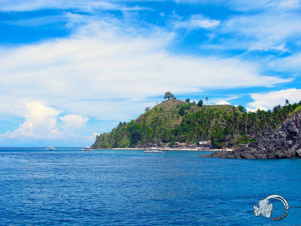 Acqua Dive Bed & Breakfast Zamboanguita  Bagian luar foto