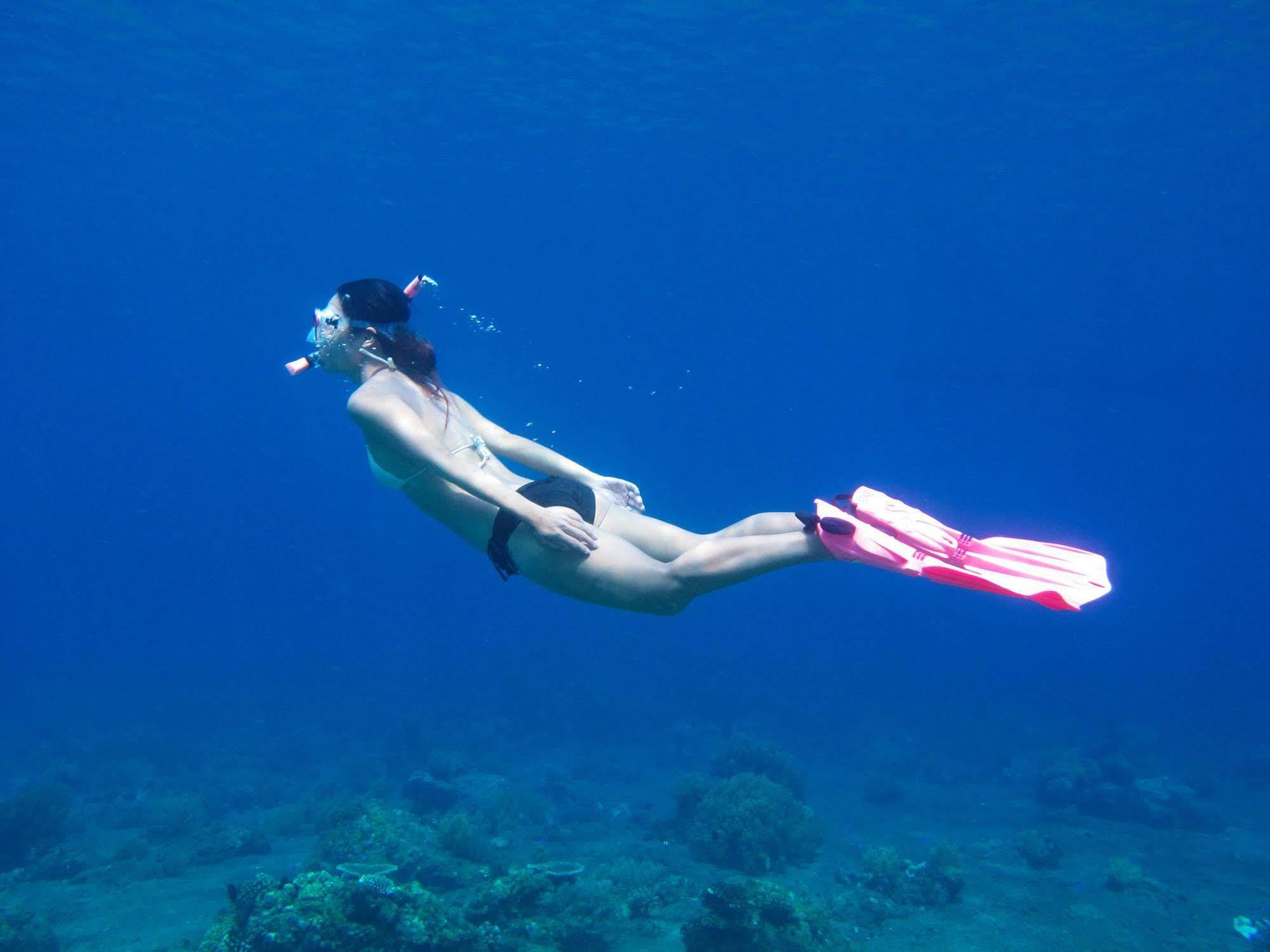 Acqua Dive Bed & Breakfast Zamboanguita  Bagian luar foto